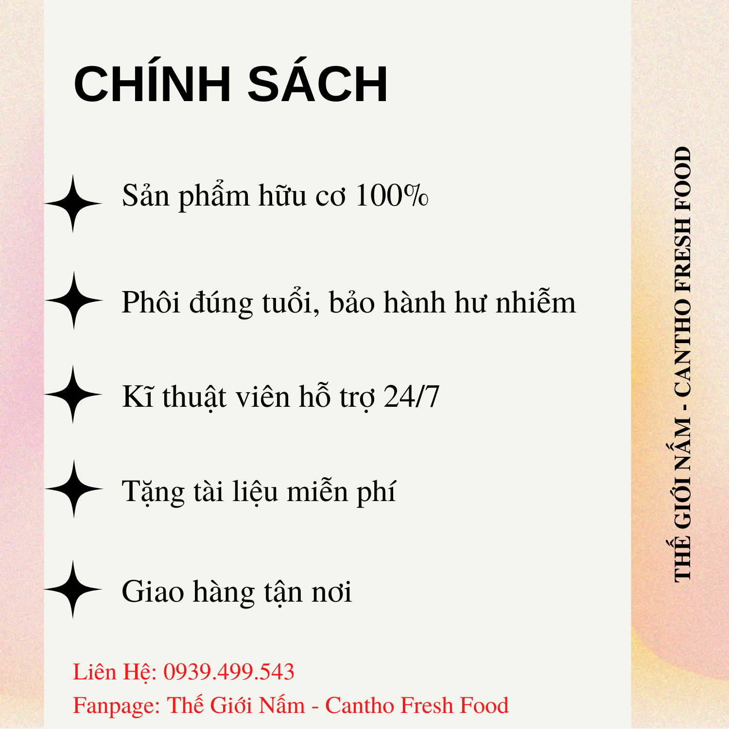 Phôi Nấm Bào Ngư Xám (9 Phôi) [Thế Giới Nấm - Cantho Fresh Food]