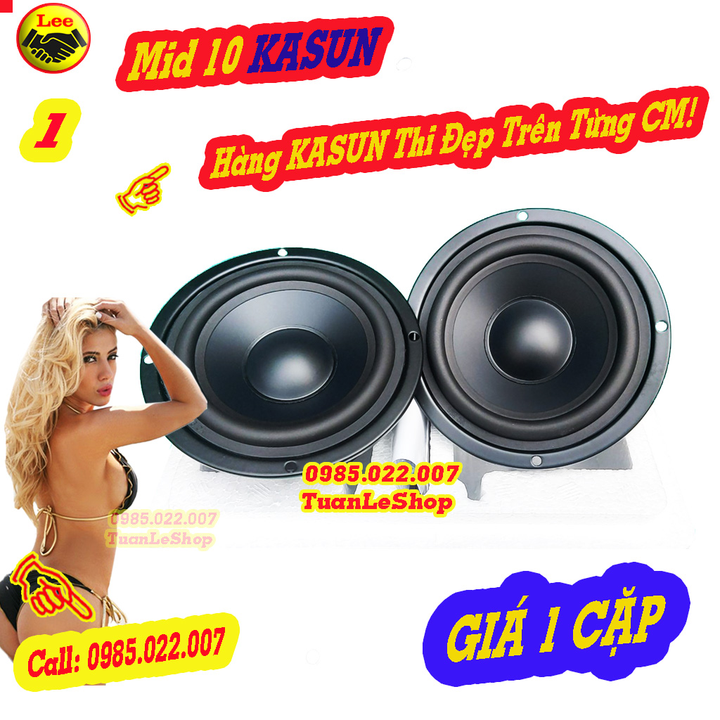 LOA TRUNG 10 KASUN NHẬP KHẨU E4019 - GIÁ 1 CẶP