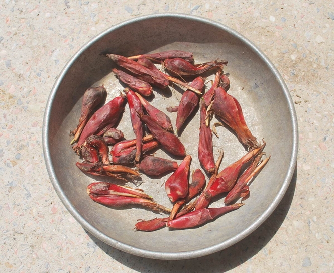 500gr sâm đại hành khô ( tỏi đỏ khô) hàng loại 1 GT195