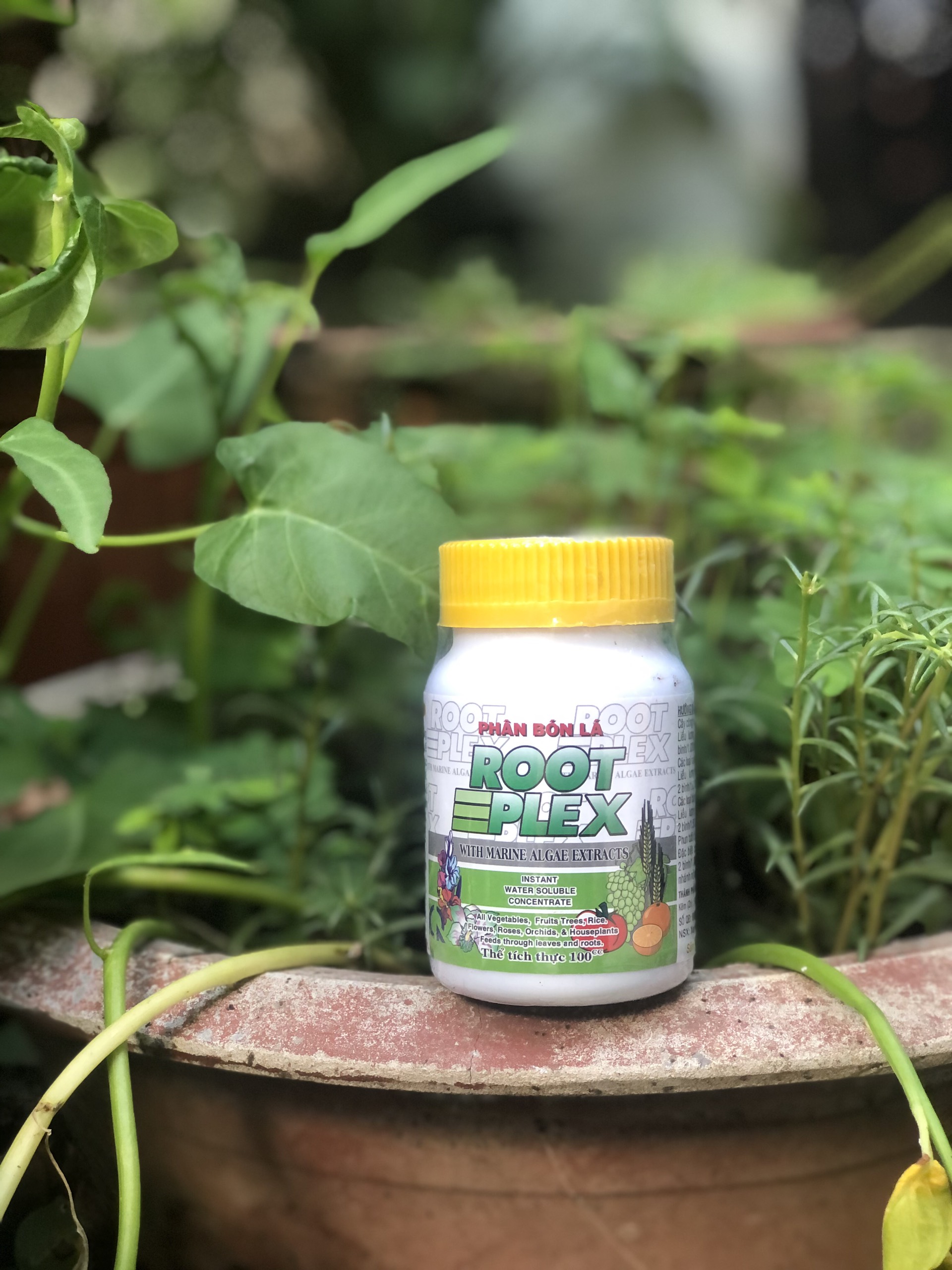[HCM]Phân bón lá cao cấp Rootplex chiết xuất từ Tảo biển