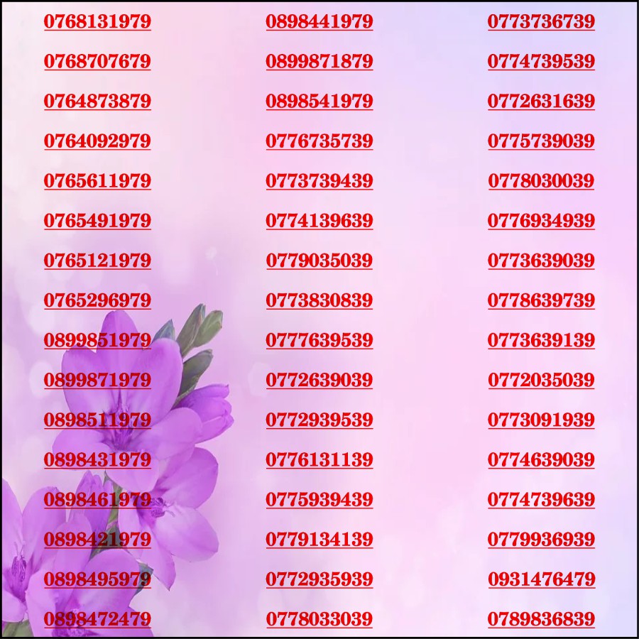 Sim đẹp thần tài 39 mobi