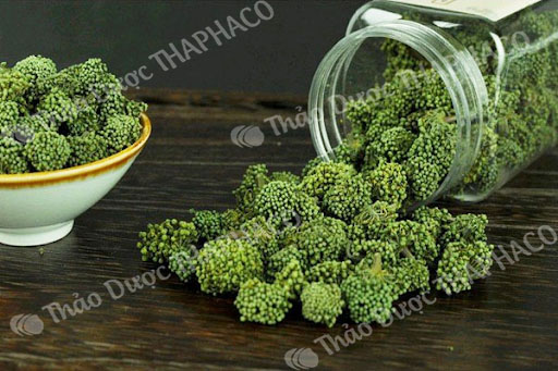[HCM] Nụ Hoa Tam Thất  100g Sấy Khô Thaphaco