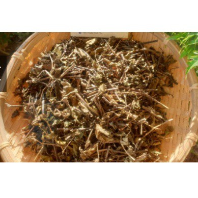 CÂY NỔ KHÔ 1KG - SÂM TANH TÁCH KHÔ