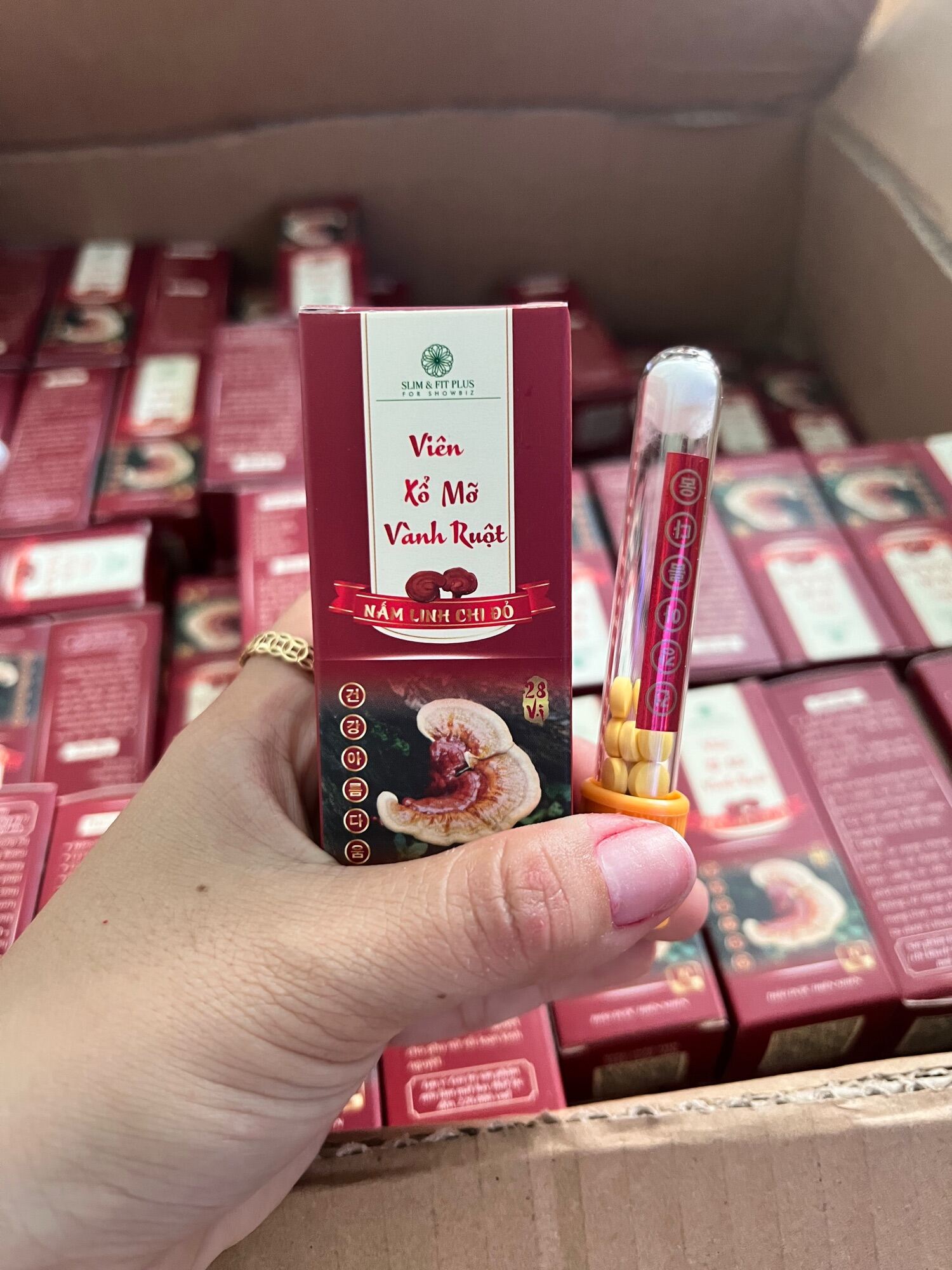 Viên Xổ Mỡ Vành Ruột – linh chi đỏ