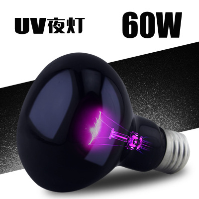 Đèn UVA sưởi đêm cho bò sát thương hiệu nomoy