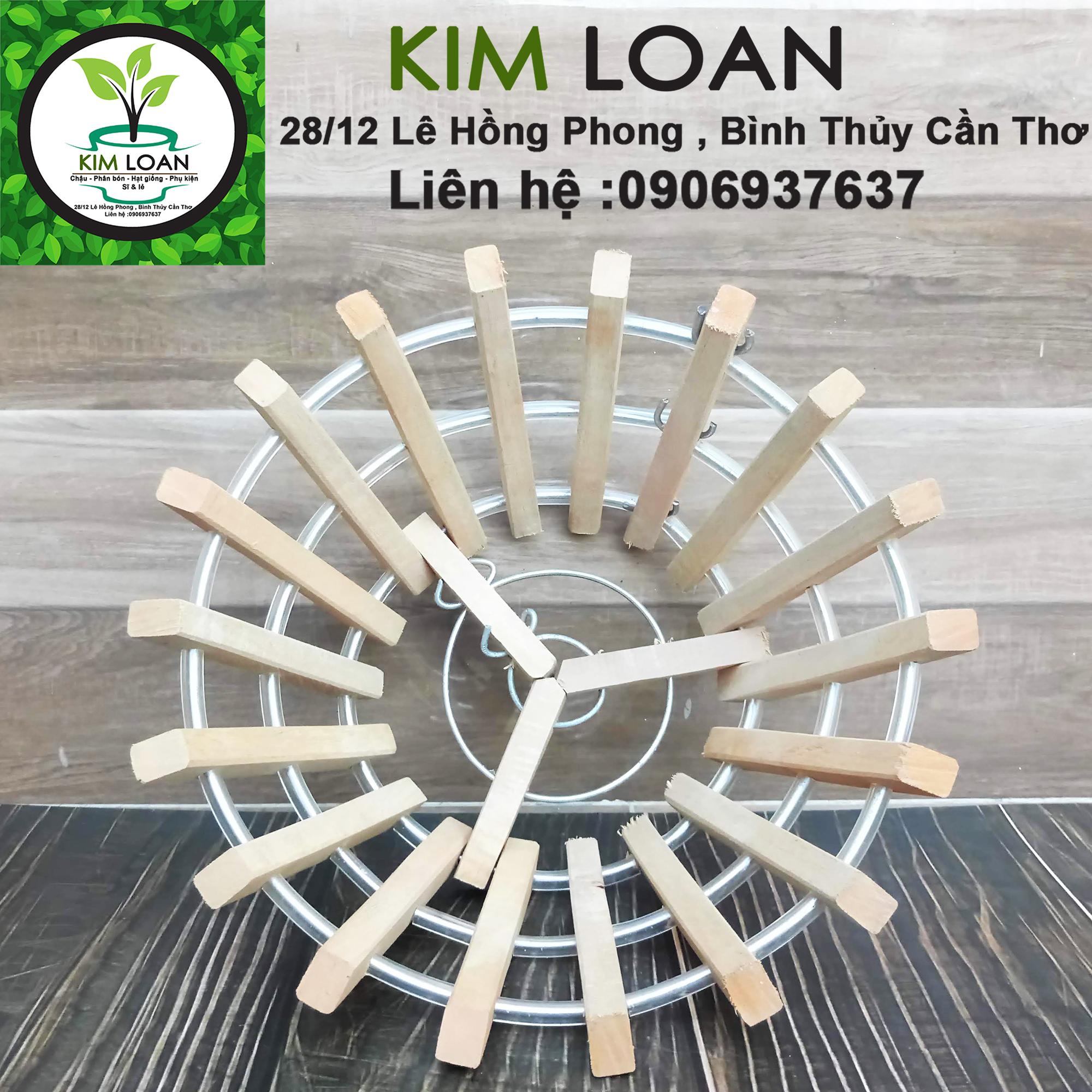 Chậu lan tròn gỗ căm xe 24x12cm