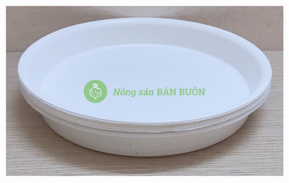 3 Khay (Đĩa) Lót Đế Chậu D230 Binh Thuan Plastics - Màu Trắng