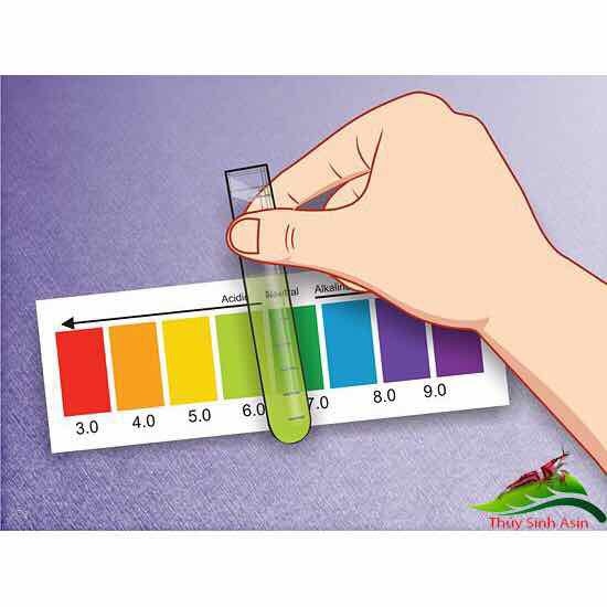 Dung Dịch Kiểm Tra pH cho hồ cá - Hàng Công Ty