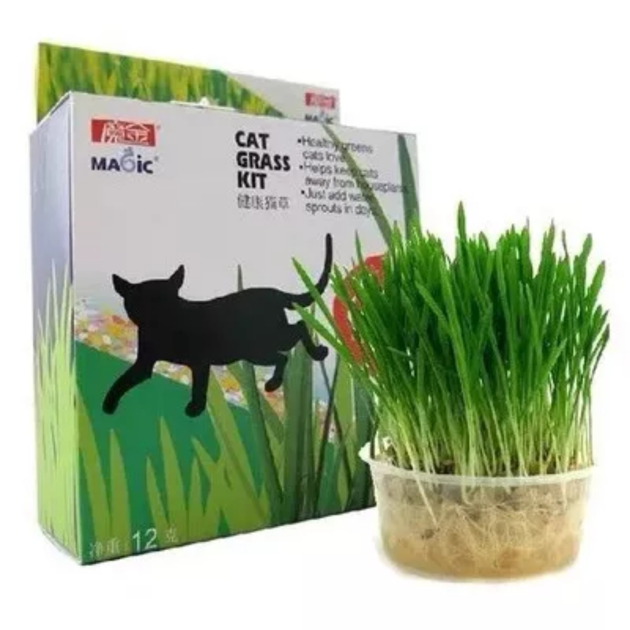 Bộ Kit Trồng Cỏ Mèo Magic Cho Mèo Pet