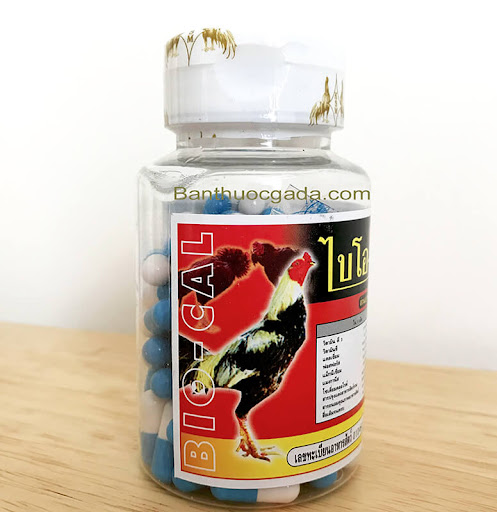 Combo 03 lọ (Tăng cơ bắp Rainbow + Bổ gân Super Star + Bổ xương Bio_Cal) cho gà đá, gà tre , ga trọi