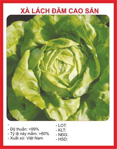 Hạt Giống Xà lách đăm xanh( 2gr/gói )