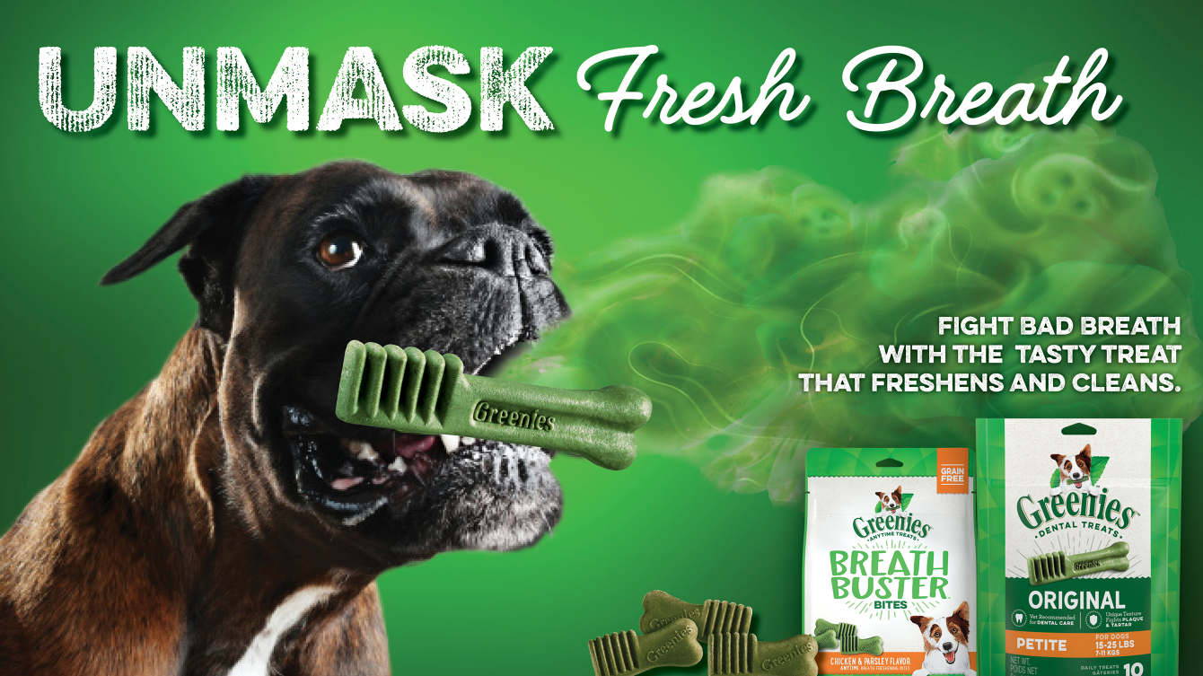 Bánh Thưởng Cho Cún 7-11kg Greenies Petite Dental Dog Treats Tách Lẻ Gói 5