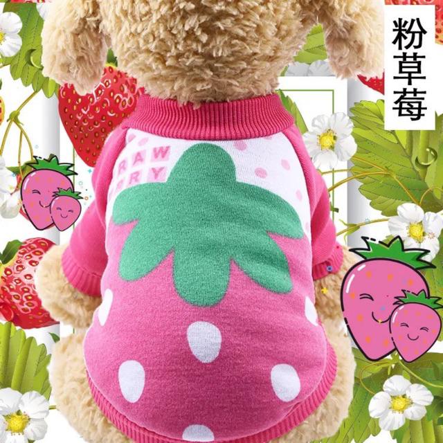 QUẦN ÁO CHÓ MÈO - Áo nỉ hình con vật dễ thương cho thú cưng chó mèo - Channsusu Pet Shop