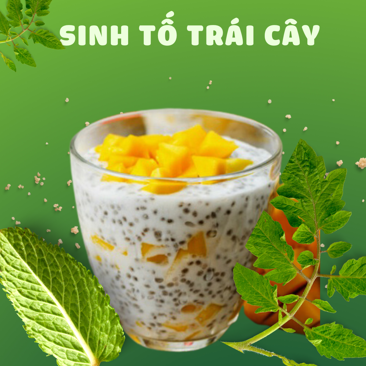 Hạt chia Black Bag túi 500gr hàng chuẩn chất lượng