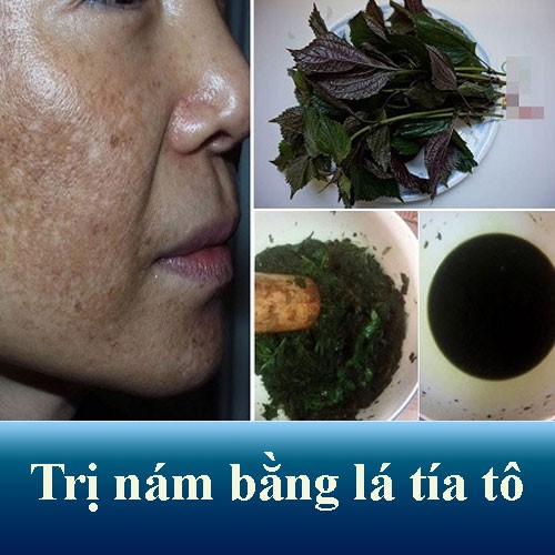 1Kg Bột Tía Tô Nguyên Chất Thơm