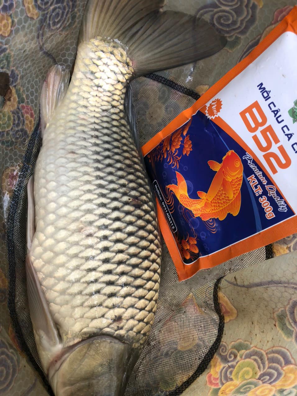 Combo Câu Chép Nhạy Cá