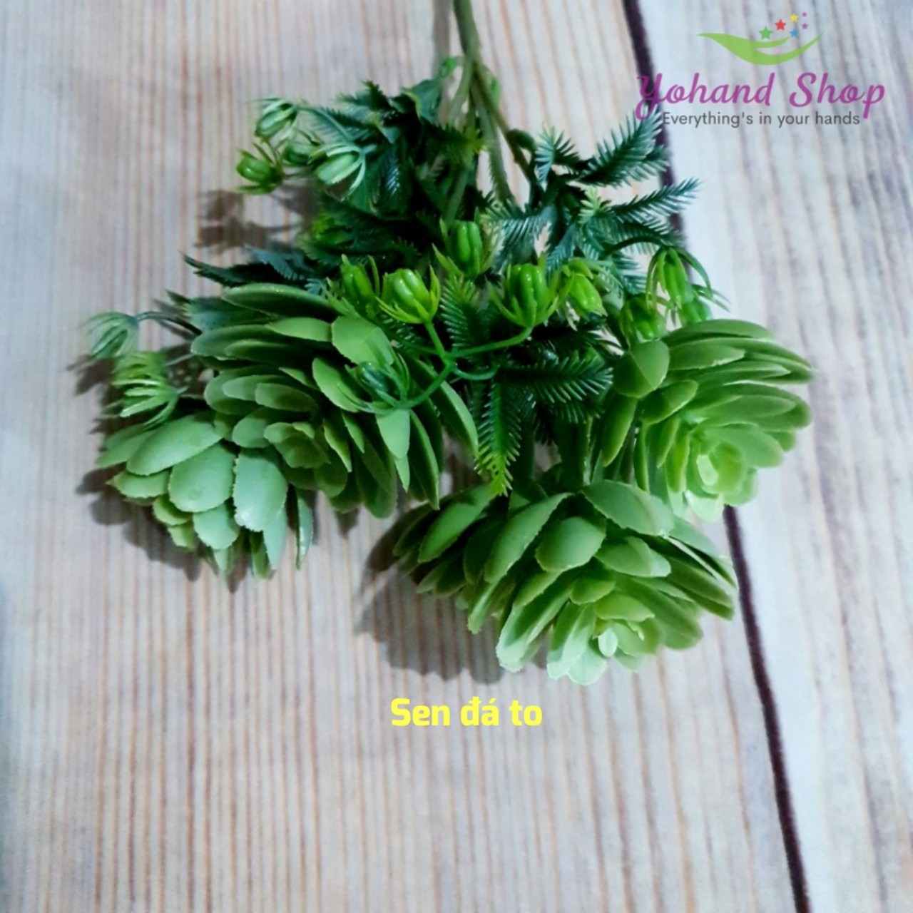 Cỏ điểm - cỏ nhựa trang trí