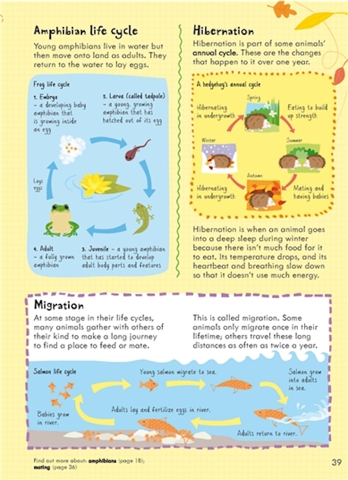 Sách-Anh: Junior Illustrated Science Dictionary