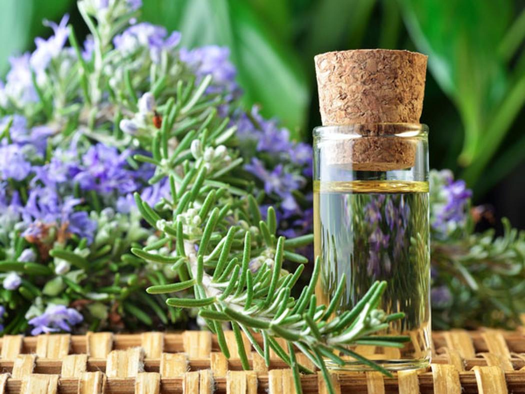 [HCM]TINH DẦU OẢI HƯƠNG SALA OILS