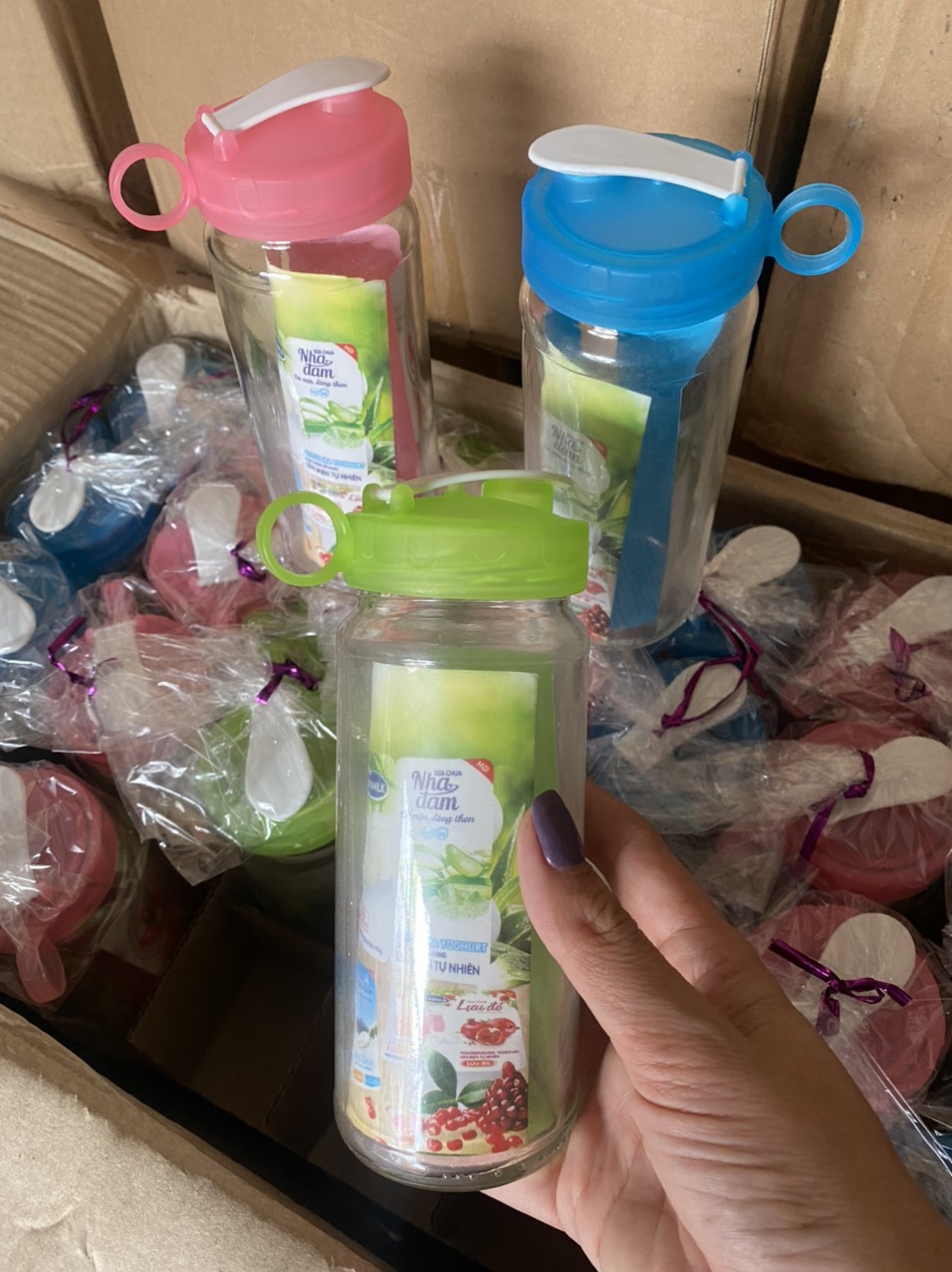 Bình thủy tinh đa năng an toàn của Ai Cập (quà tặng của Vinamilk)