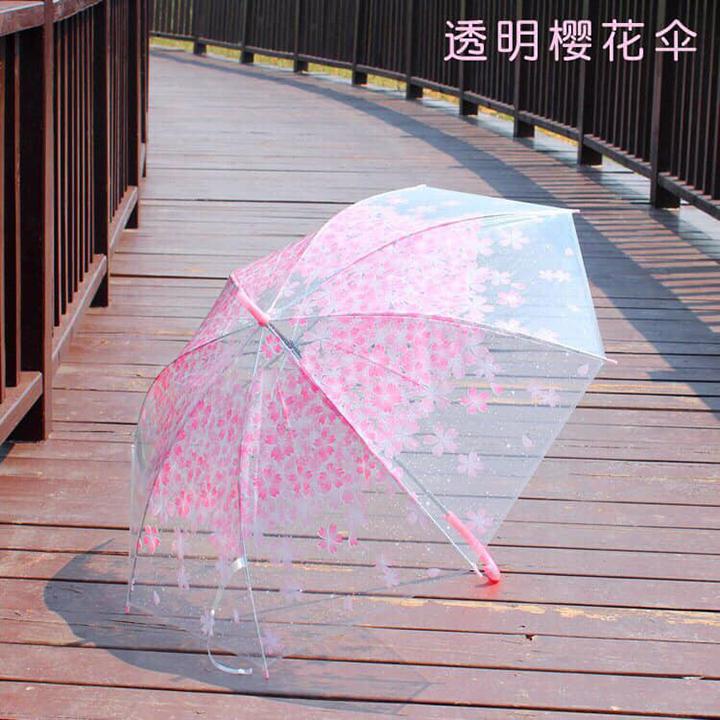 Ô TRONG SUỐT IN HÌNH HOA MẪU MỚI