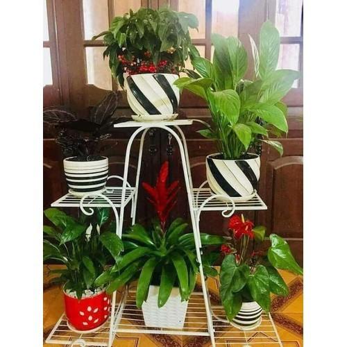 Kệ sắt để chậu hoa , cây cảnh – 4 tầng 6 chậu