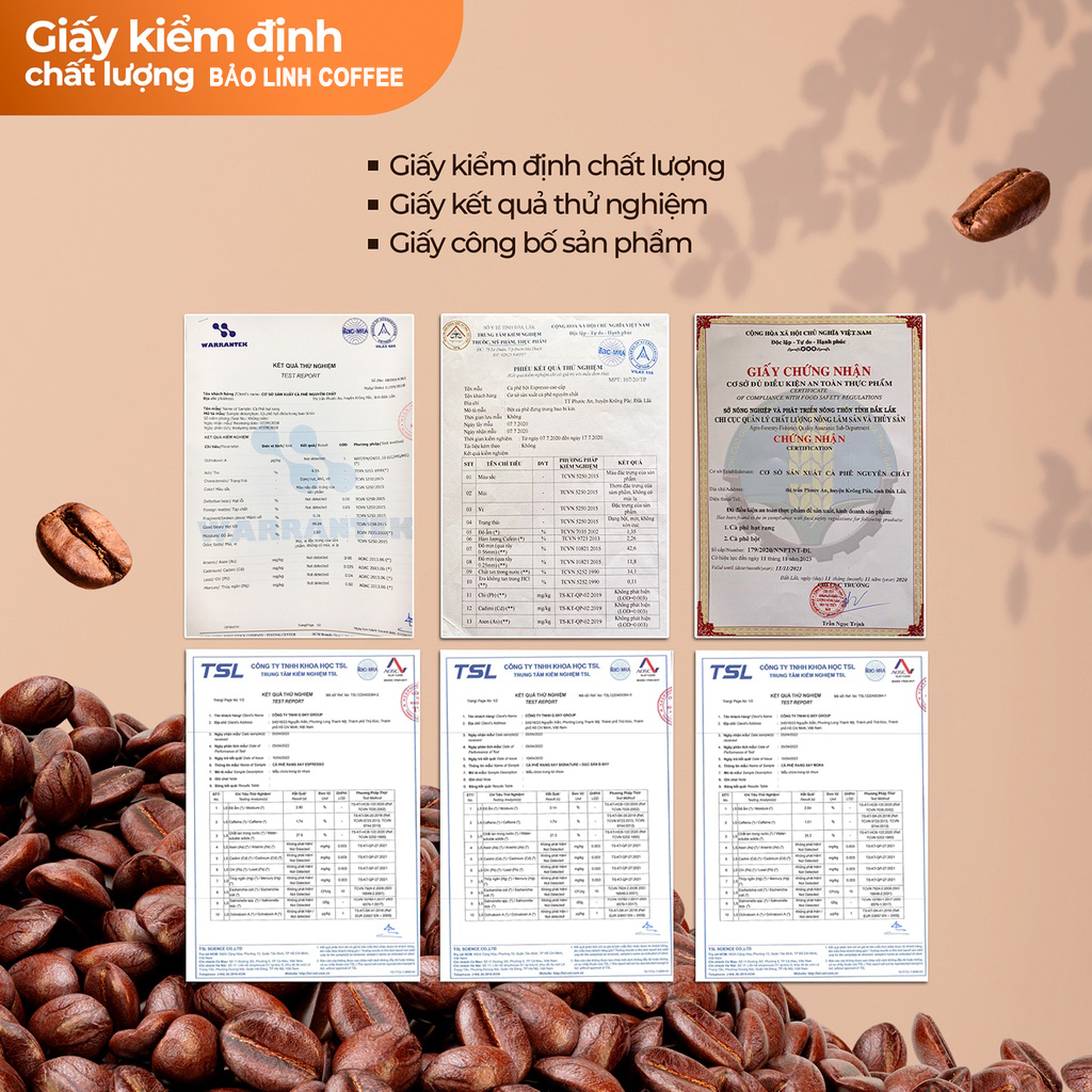Cà Phê Nguyên Chất BL55 Thành Phần 50% Robusta+50% Arabica Rang Mộc Pha Phin, Pha Máy