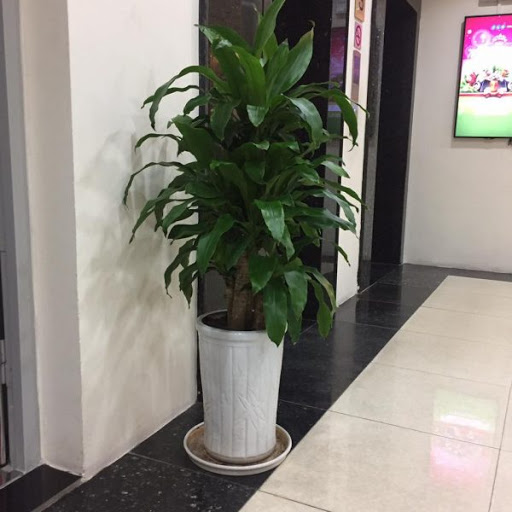 THIẾT GHÉP MỘC LAN