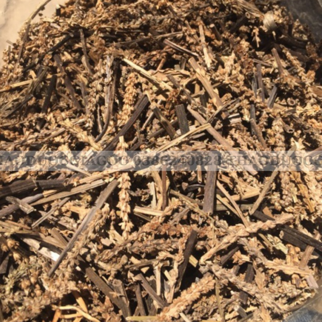 1kg Bông Mã Đề khô hàng loại 1