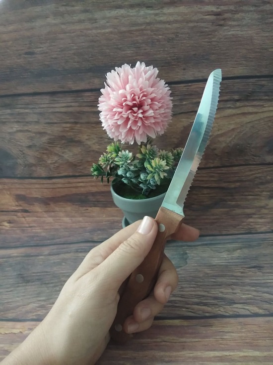 Dao Rọc Bánh Mì Cán Gỗ 21 Cm