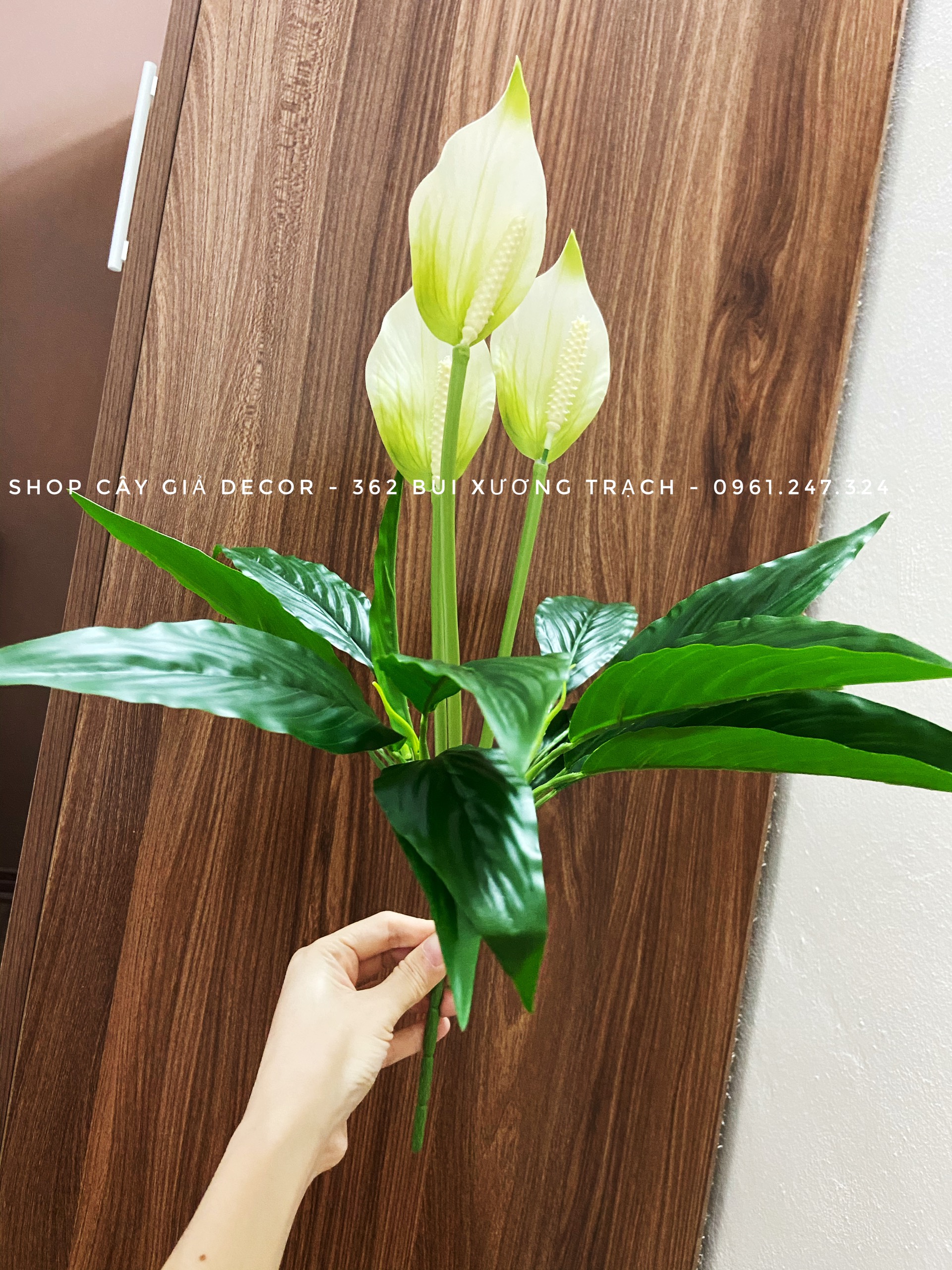 Cây giả - cây lan ý 50cm