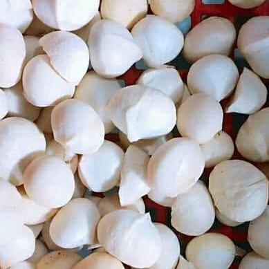 Combo 10 kg hạt macca Lâm Đồng sấy