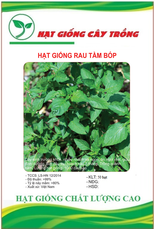 Hạt giống cây tầm bóp ct95 - gói 50 hạt