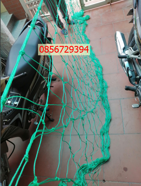 Lưới giàn mướp, giàn dưa leo(mắt lưới 20x20cm) size 2m x 5m