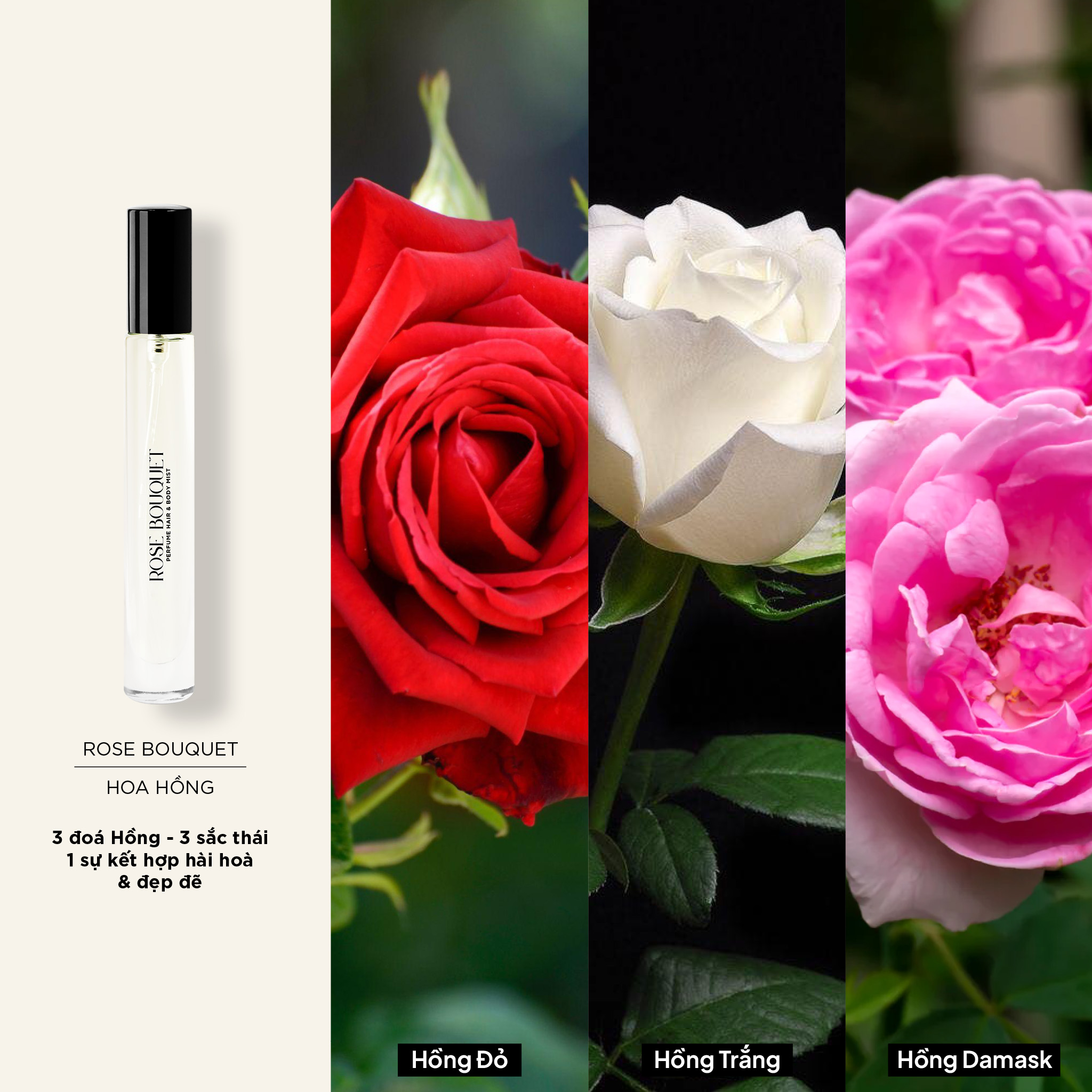 Nước Hoa Body Mist & Tóc SKINLAX ( 10ml )