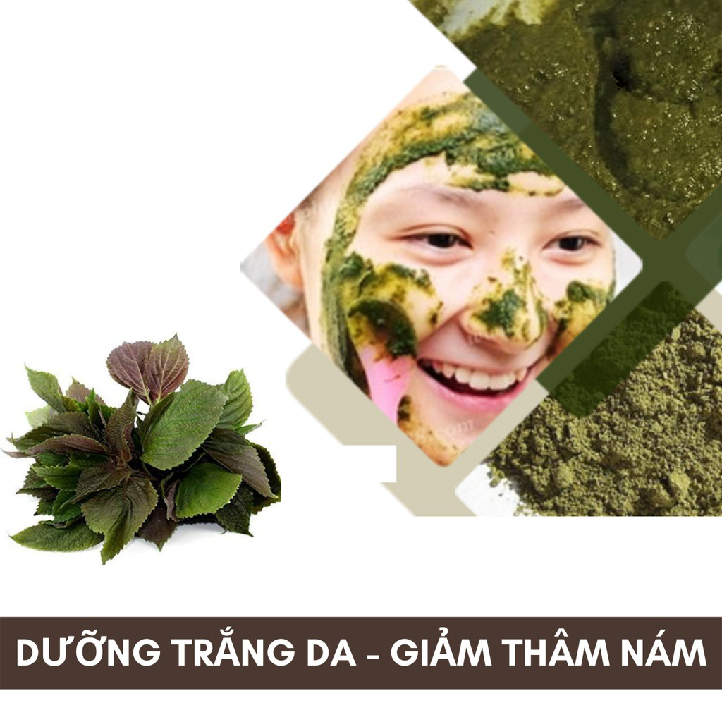 Bột tía tô nguyên chất 100g - Thảo Dược Tấn Phát