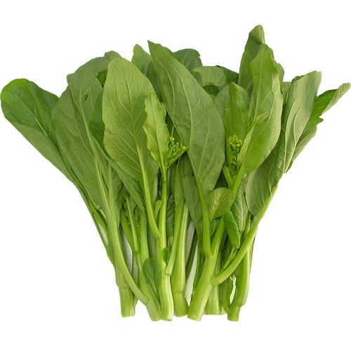 Hạt giống Cải Ngọt 20gr (Khoảng 4000 Hạt) (Hàng Loại 1)
