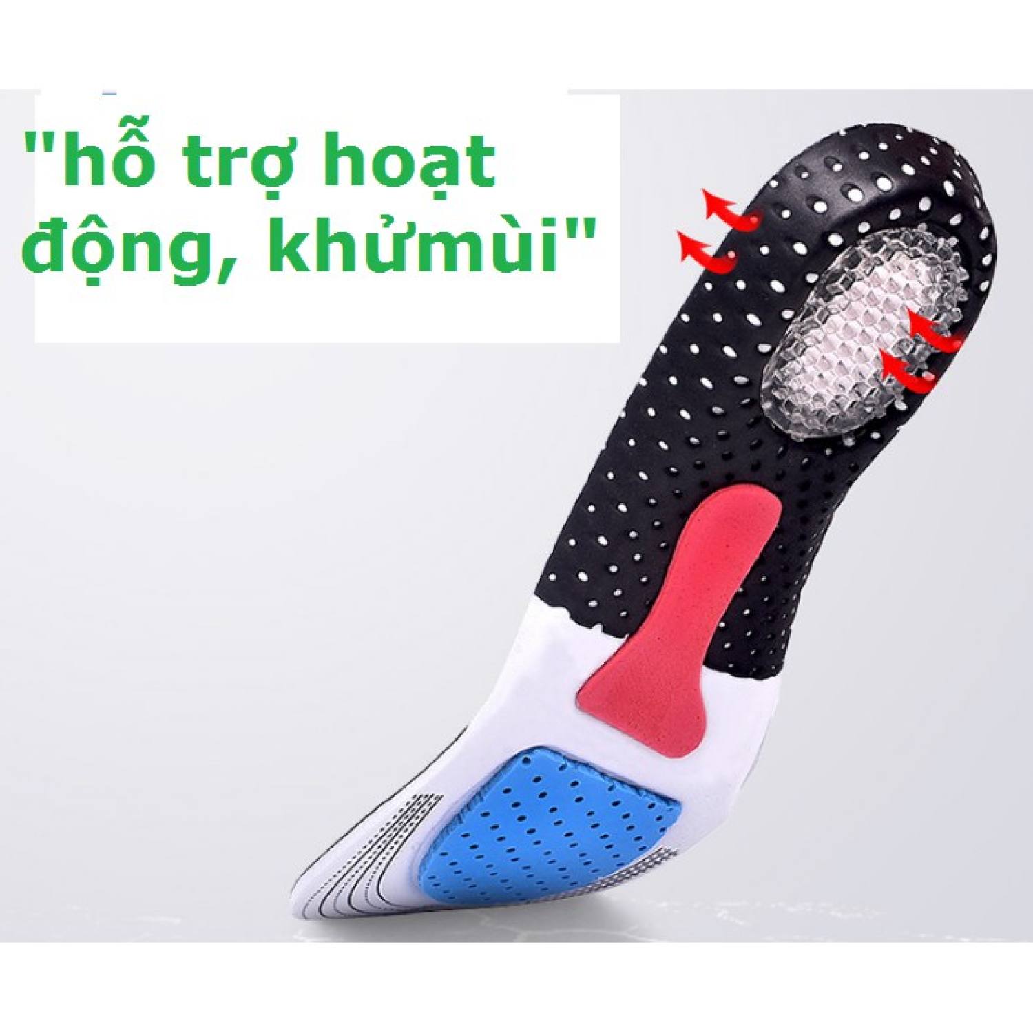 Bộ 2 Miếng lót giày thể thao cao cấp