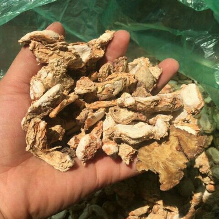 Cây địa liền 1kg