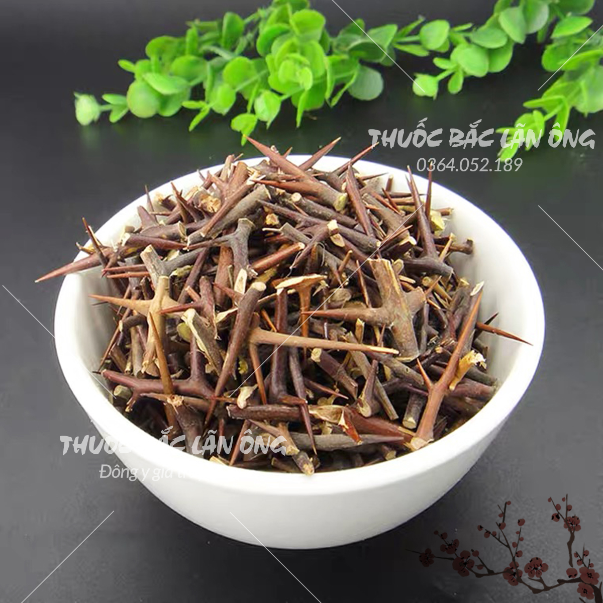 Gai bồ kết khô 500g (Tạo giác thích)