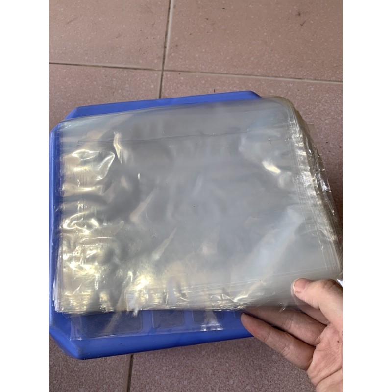 1KG TÚI NILONG BỌC ỔI - TÚI BỌC TRÁI CÂY