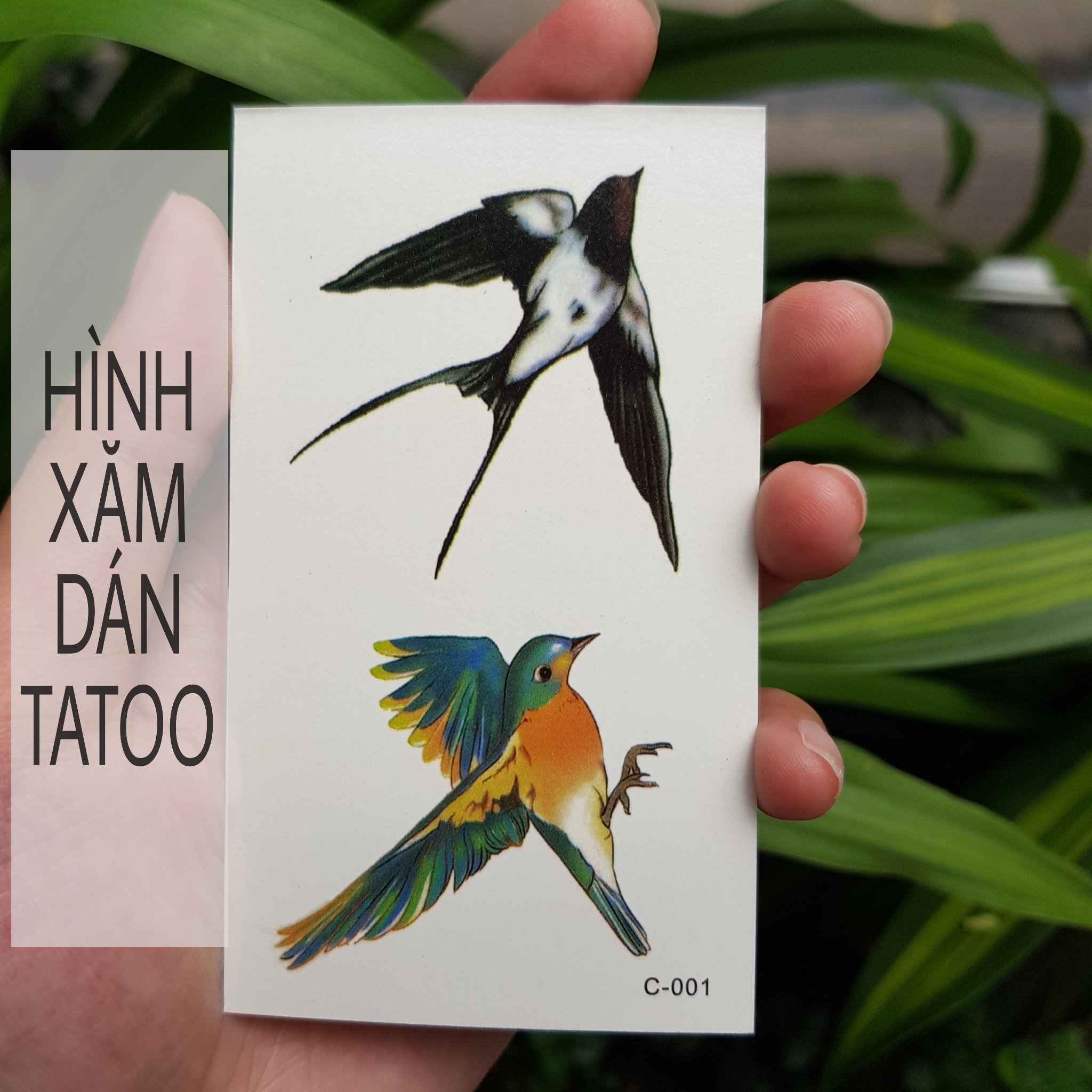 Hình dán chim én c01