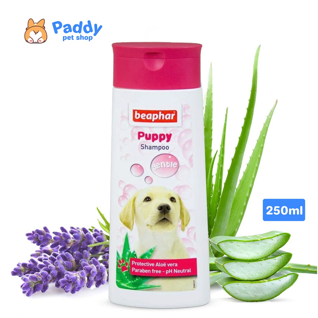[HCM]Sữa Tắm Dành Cho Chó Con Beaphar Puppy (Nhập khẩu từ Hà Lan)