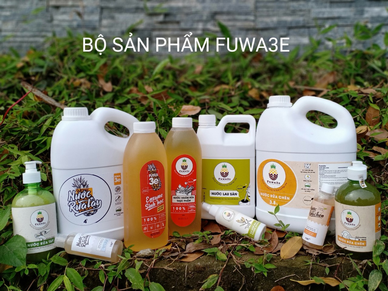 Nước ngâm rửa thực phẩm Fuwa3e