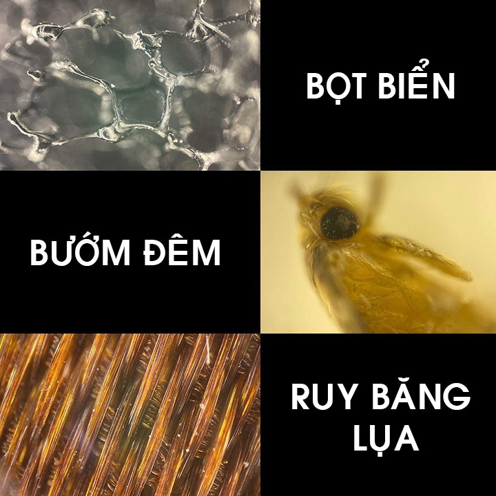 ỐNG KÍNH SUPER MACRO 400X CHO IPHONE 11 PRO MAX / 11 PRO / 11
