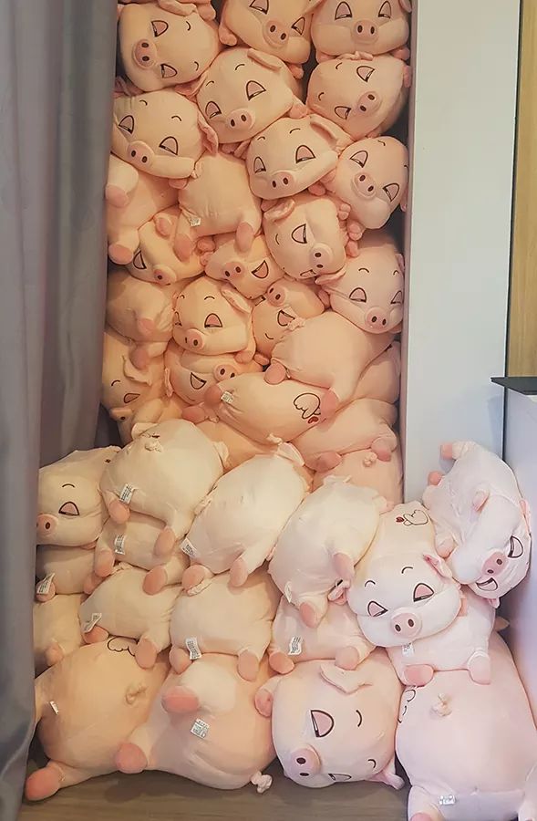GẤU BÔNG HEO LƯỜI MỀM MỊN 50CM CHO BÉ