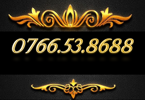 SIM PHONG THỦY 0766.538688