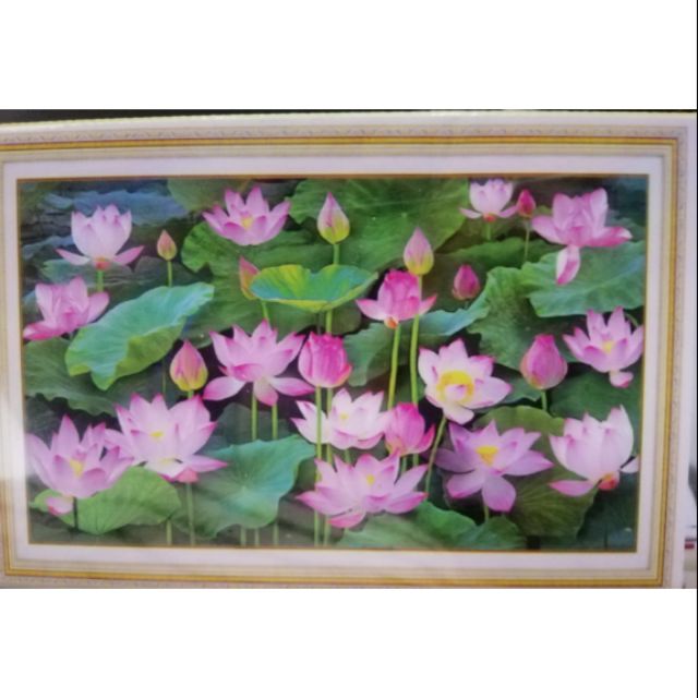 Tranh đính đá hoa sen -dd9240