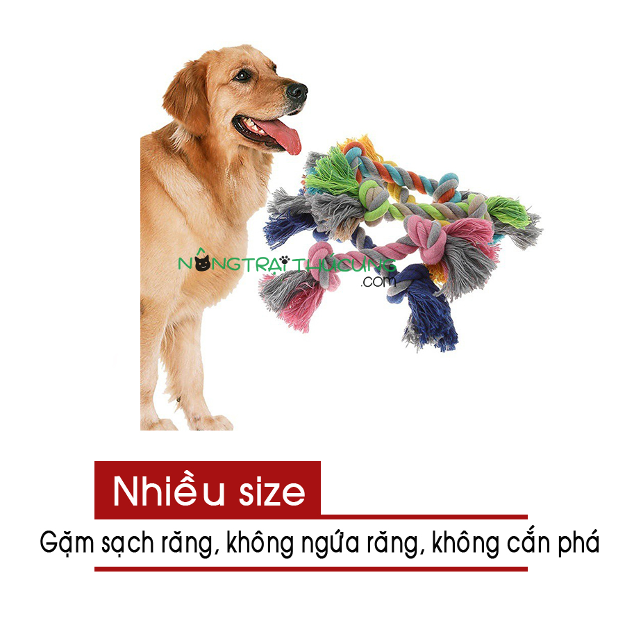Đồ Chơi Cho Chó Gặm Nhai Bằng Dây Thừng Sạch Răng - Nhiều size - [Nông Trại Thú Cưng]