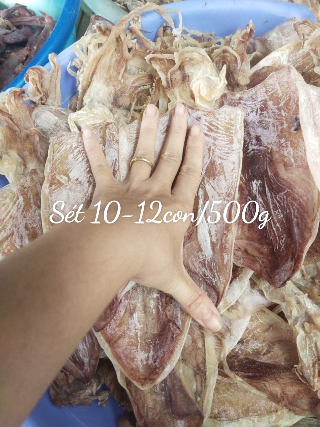 1kg Mực khô câu 20-22con [hàng loại 1 ngon ngọt] -HS01-GHPY